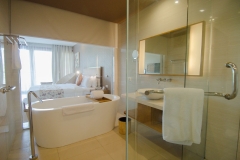 Deluxe Room - Bath Room
